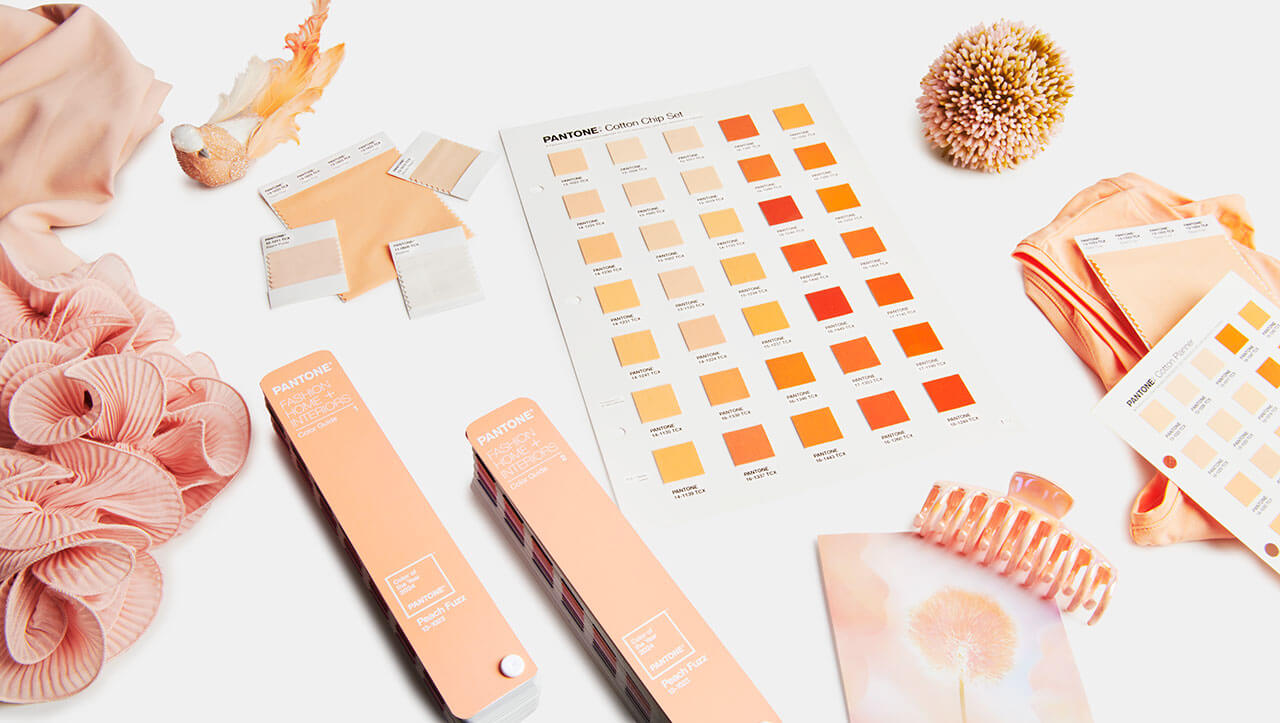 Pantone Coty 2024 Peach Fuzz